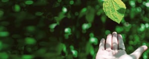 HaltermannCarless_Header_Ecobase_2500x1000px_neu