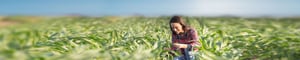 corn_field_iStock_-Jevtic-1168884479_2500x500px_200624